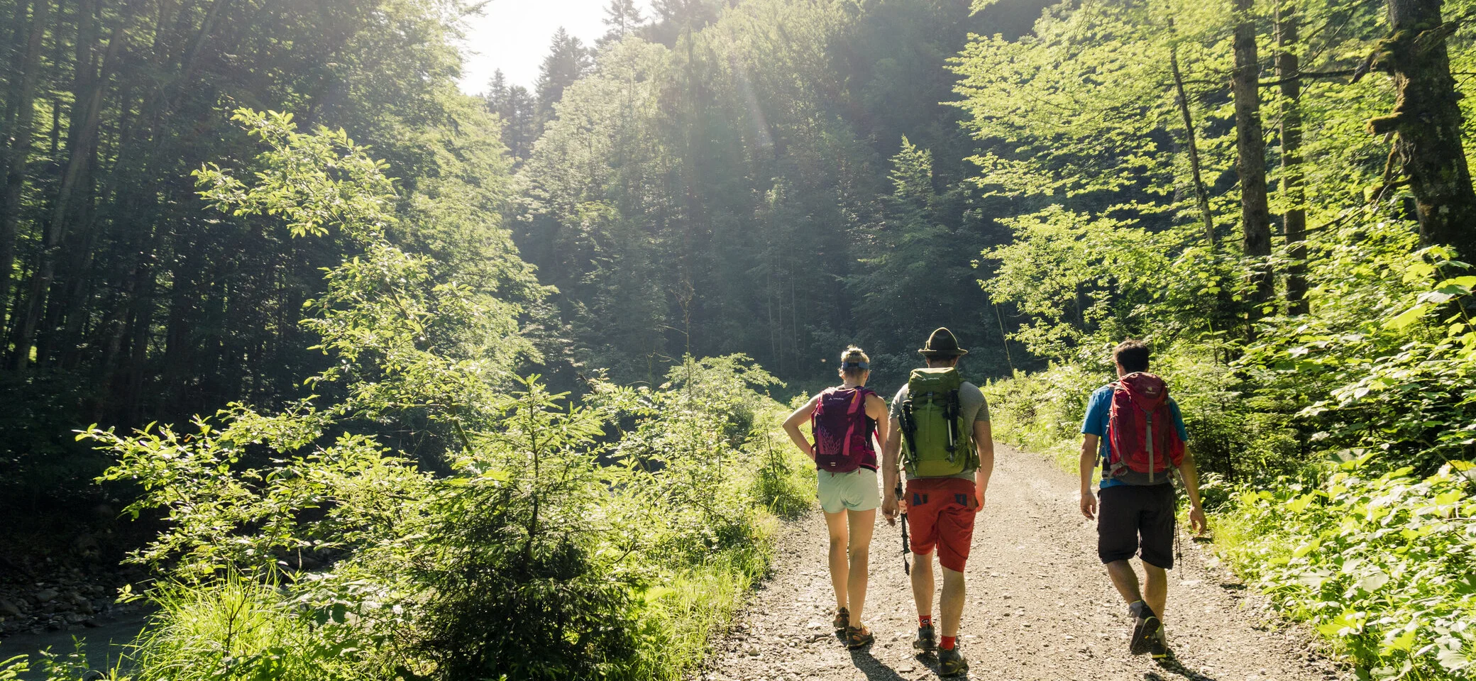 Wandern in den Chiemgauer Bergen | © DAV/Hans Herbig Drei Wanderer auf einem Bergpfad in den Chiemgauer Alpen | © DAV/Hans Herbig